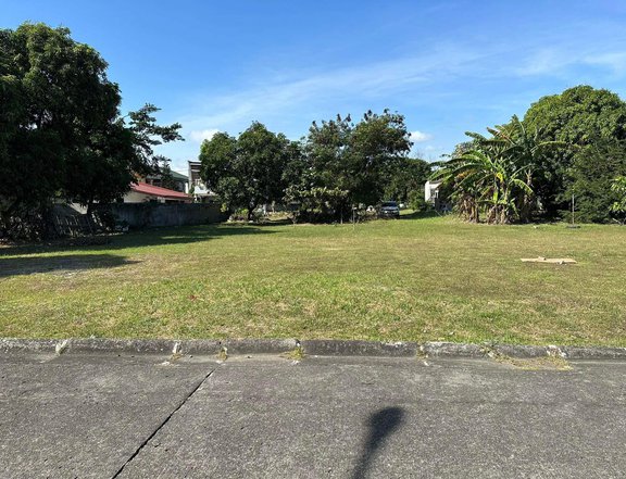 333sqm Residential lot for Sale in Filinvest South Governor's Drive Binan Laguna