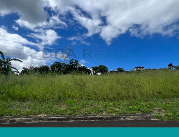 317 sqm Vacant Lot For Sale in Eastland Heights, Antipolo City