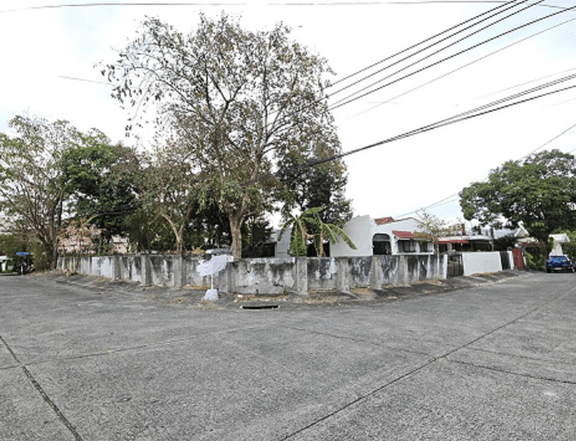 Lot for Sale in BF Almanza Village Las Pinas City