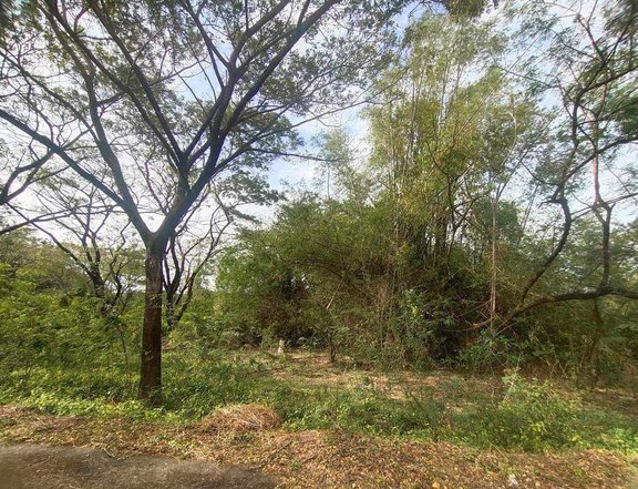 294 sqm Residential Lot for Sale in Palo- Alto Executive Village