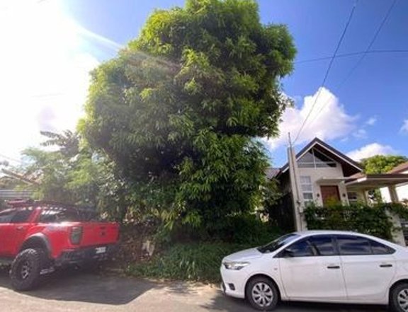 300sqm Vacant Lot for Sale in United 4 Subdivision, Paranaque City