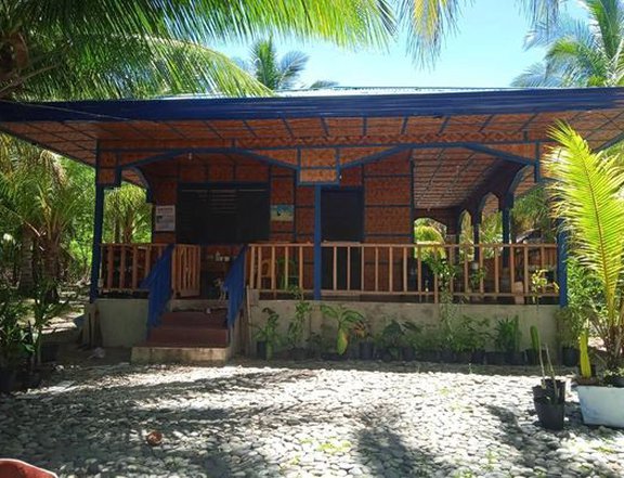Private Beach Resort For Sale   at Kadanlaa, Davao Oriental