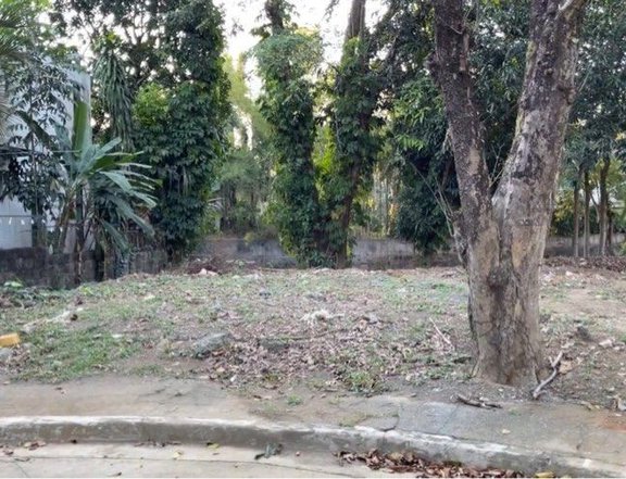 262 sqm Lot for Sale in Barrington Place Antipolo City