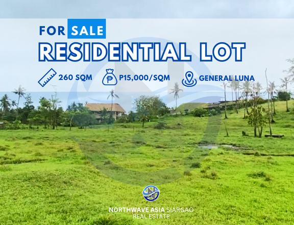 260 sqm Residential Lot For Sale in General Luna Siargao