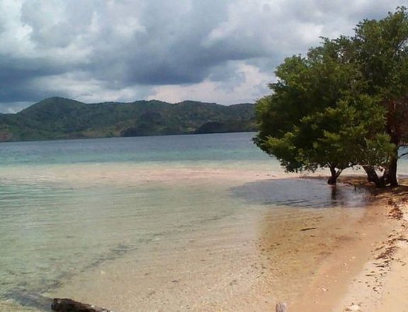 Beachfront For Sale in Palawan (Galoc, Culion)
