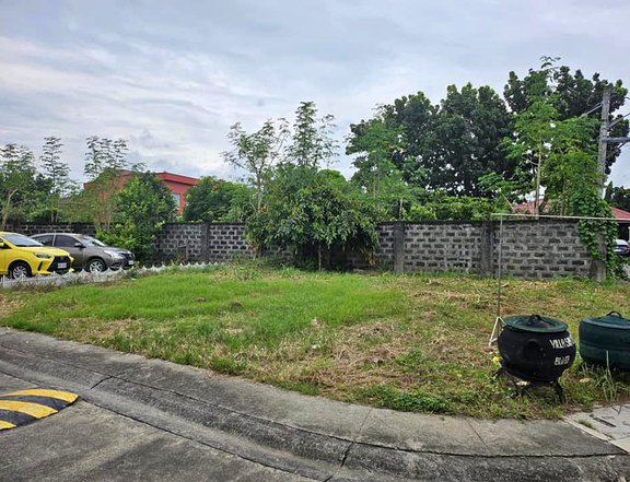 136sqm Residential Corner lot for Sale in Villa San Lorenzo Open Canal Road Imus Cavite