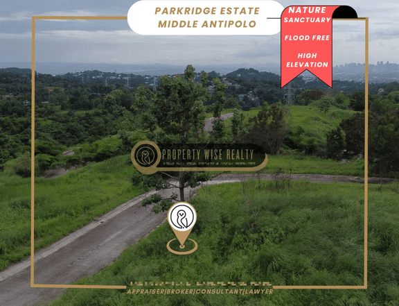 Captivating Views - Parkridge Antipolo Lot