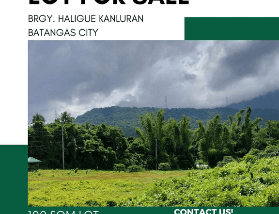 100 sqm Residential Lot For Sale in Batangas City Batangas