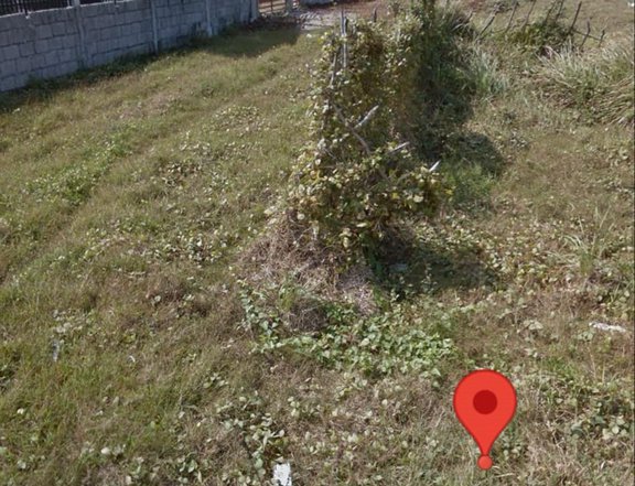 235 sqm Lot For Sale Naic near BataanCavite Interlink Bridge