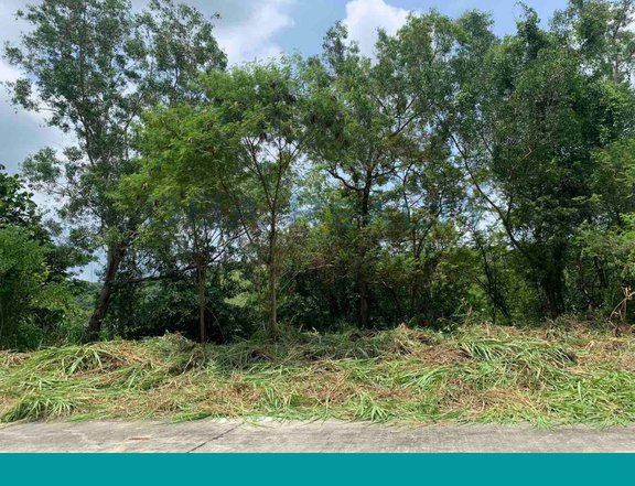 727sqm Fairway Vacant Lot For Sale in Eastland Heights, Antipolo Rizal