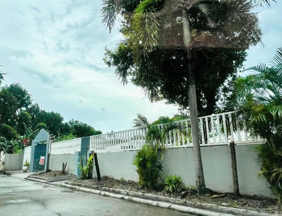 FOR SALE BIG RESIDENTIAL LOT IN ANGELES CITY NEAR CLARK AND KOREAN TOWN