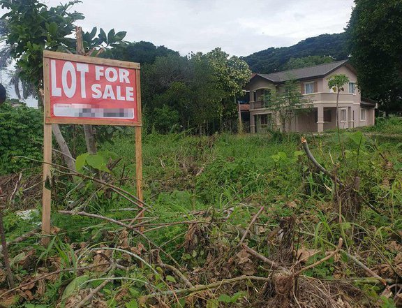 471 sqm Residential Lot For Sale in Savannah Trails Oton Iloilo