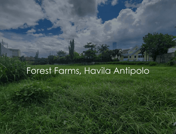 880 sqm Residential Lot For Sale in Antipolo Rizal