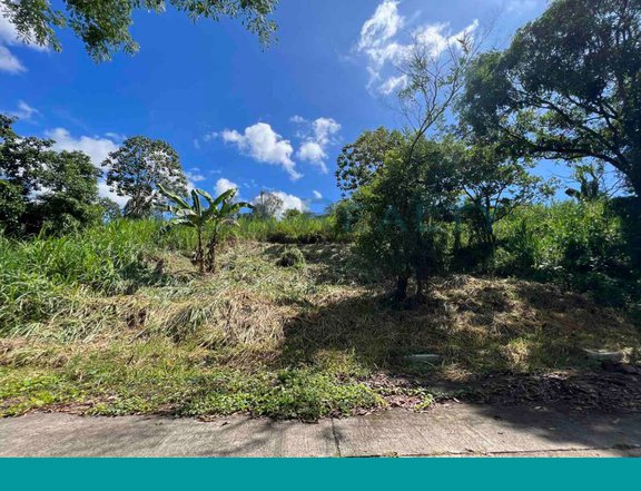 468 sqm Residential Lot For Sale in Eastland Heights, Antipolo Rizal