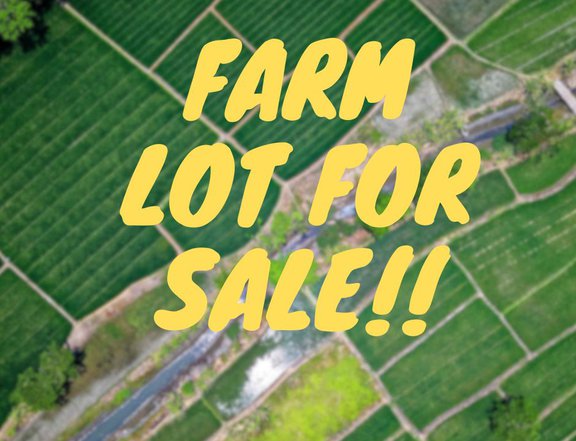1.36 hectares Agricultural Farm For Sale in San Marcelino Zambales