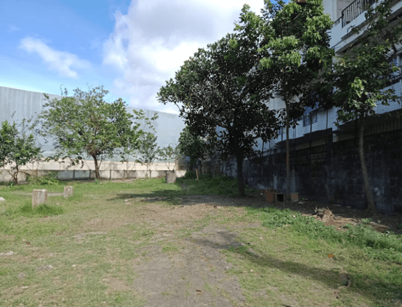 1000 SQM Lot For Sale in Project 8 Quezon City near EDSA