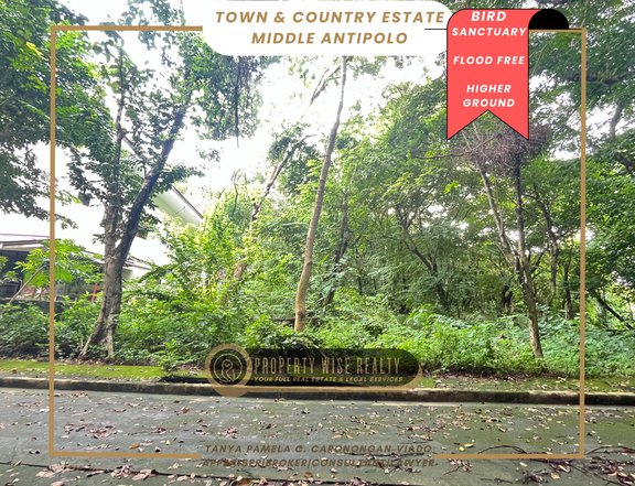 Rare Small Through Lot I Town and Country Estate Antipolo