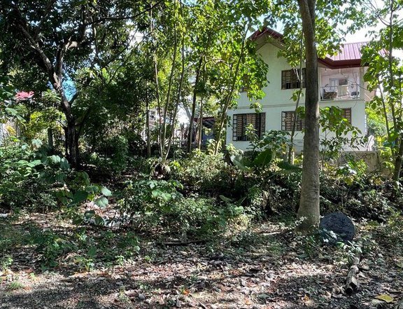 296 sqm Commercial/Residential Lot For Sale in Cabatangan, Zamboanga City
