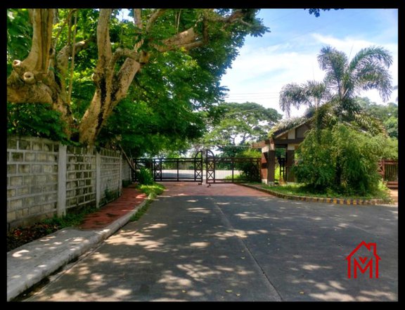 1,050 sqm Farm Lot For Sale in Mango Orchard, Naic Cavite