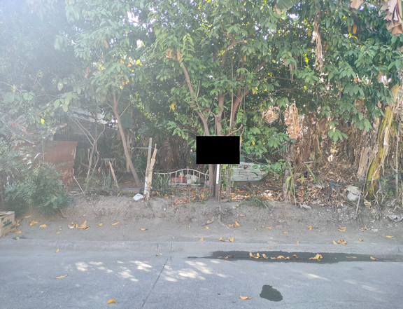 348sqm Residential lot for Sale in BF Resort Village Talon Las Pinas City