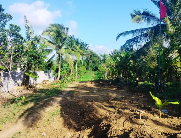 1000 sqm Residential Farm Lot for Sale near Tagaytay