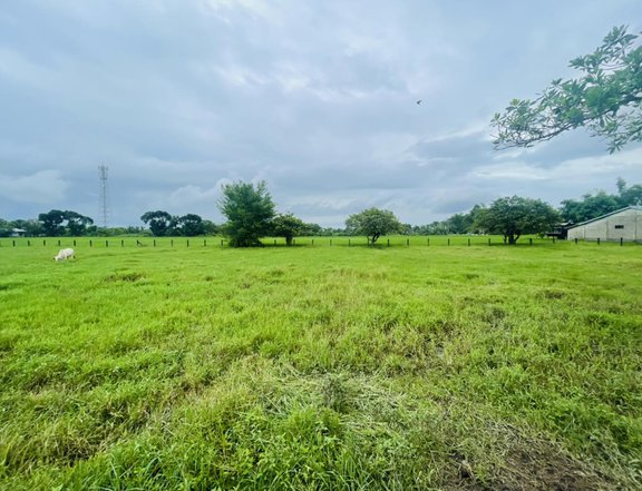 600 sqm Residential Lot For Sale in Magalang Pampanga