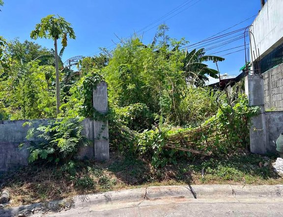 Lot for Sale in Citta Italia Molino Blvd Bacoor Cavite