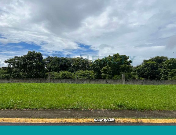 300 sqm Adjacent Lot For Sale in Metro Gate Tagaytay Cavite