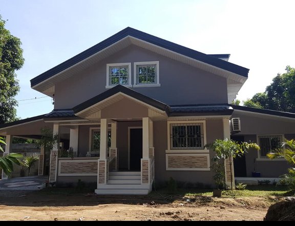 For Sale 3BR Newly Built House & Lot in San Isidro - CRS0295