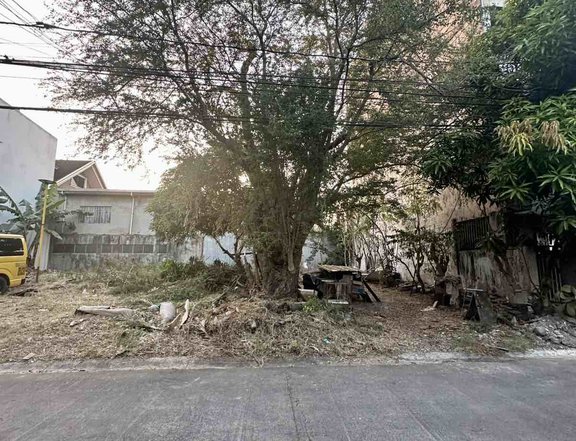 Multinational Village Residential Lot For Sale in Paranaque City +