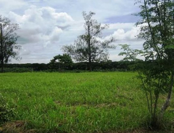 150 sqm Residential Lot For Sale in General Trias Cavite