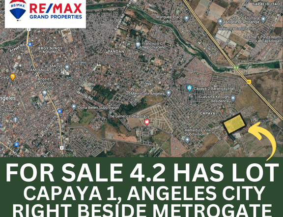 For Sale 4.2 Hectares Lot Capaya 1 Angeles City Beside Metrogate