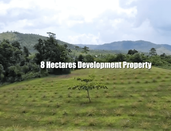 Discover Your Paradise: 8-Hectare Palawan Farm for Sale!