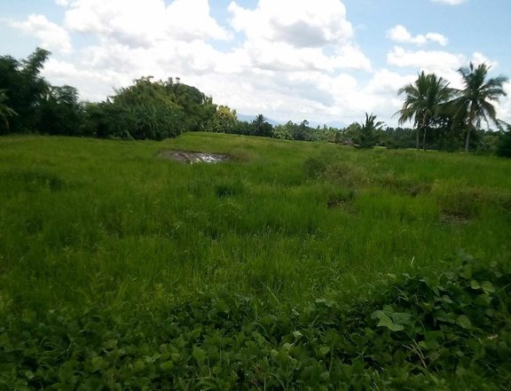 11.126 Hectares Farm Lot for Sale in Laguna.