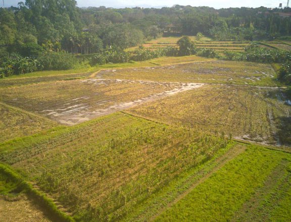 200 sqm Commercial Lot in Dasma