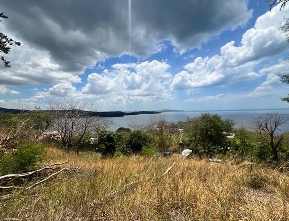 2 Prime SEA VIEW lots in MAYA MAYA VILLAGE, NASUGBO