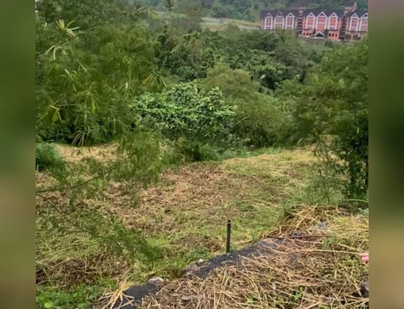 694 sqm Lot for sale in Georgetown at Canyon Woods Tagaytay, with Taal view, near Joel Cruz House