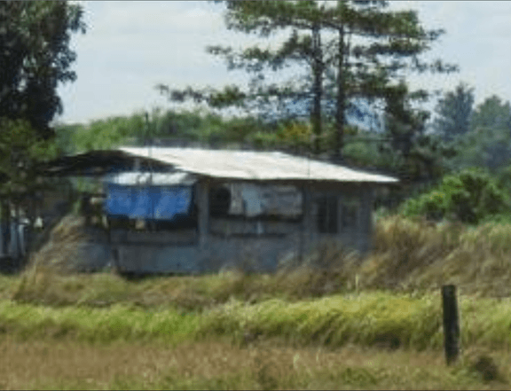 C.P Romulo Highway,Sapang Maragul, Tarlac City, Tarlac