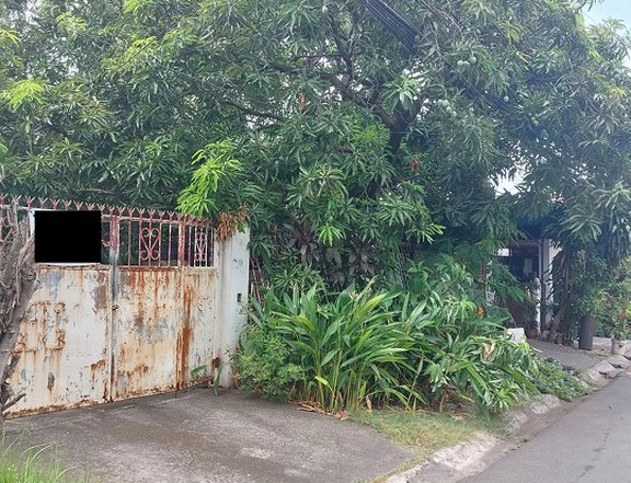 327sqm Residential lot for Sale in United Paranaque Subd Sucat Road Paranaque City