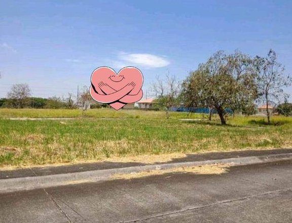 624sqm Residential lot for Sale in Alegria at Dos Rios Cabuyao Laguna