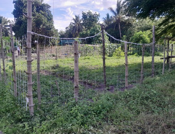 120 sqm Inner Lot Up for Grabs!