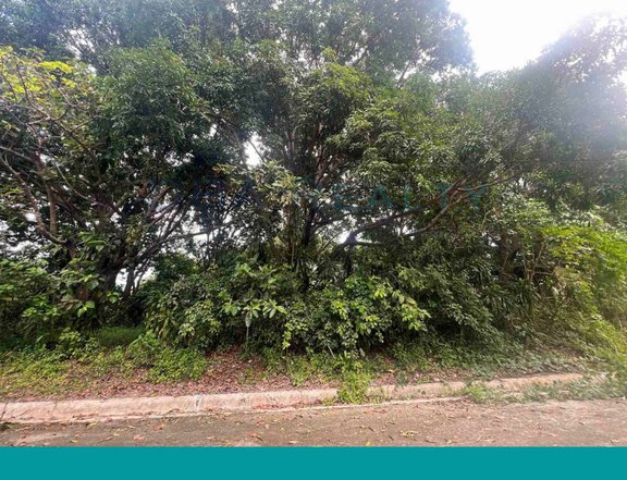 404 sqm Vacant Lot For Sale in Eastland Heights, Antipolo Rizal