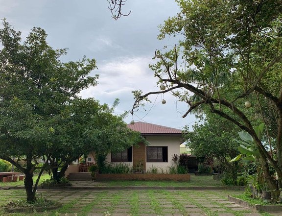 PRIVATE RESORT WITH MANGO FARM IN PAMPANGA WITH OPERATIONAL BUSINESS