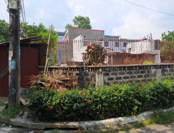 For Sale Lot @ Lillesville Caloocan