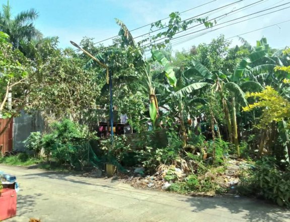 159sqm Residential lot for Sale in Kaunlaran Subd Molino 2 Bacoor Cavite