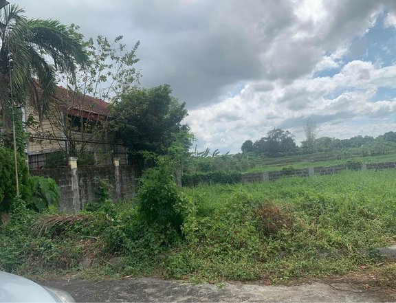 150 sqm Residential lot for Sale in Southplains Exec Village Aguinaldo Highway Dasmarinas Cavite