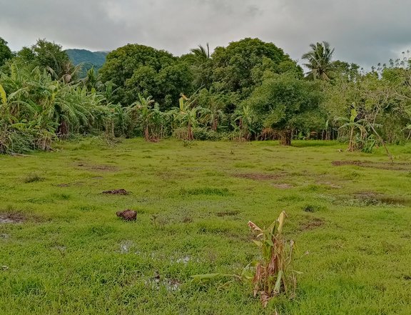 3000 SQM For Sale 3,000 SQM Residential Lot in Jala-Jala, Rizal