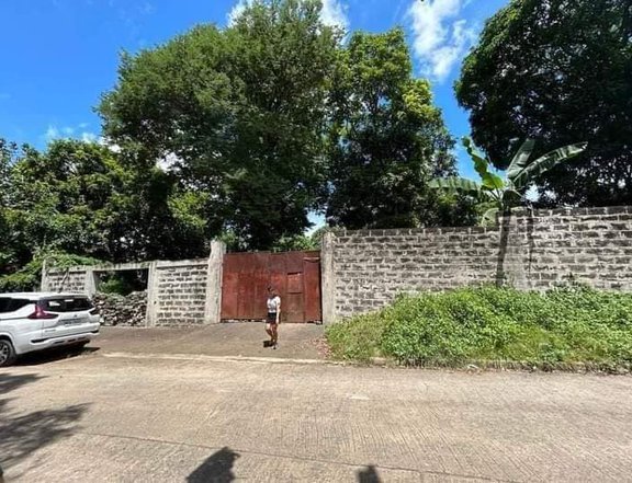 5,000sqm Lot for Sale in San Antonio San Pedro Laguna