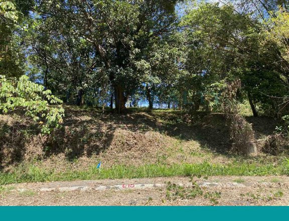 687 sqm Vacant Lot For Sale in Eastland Heights, Antipolo Rizal