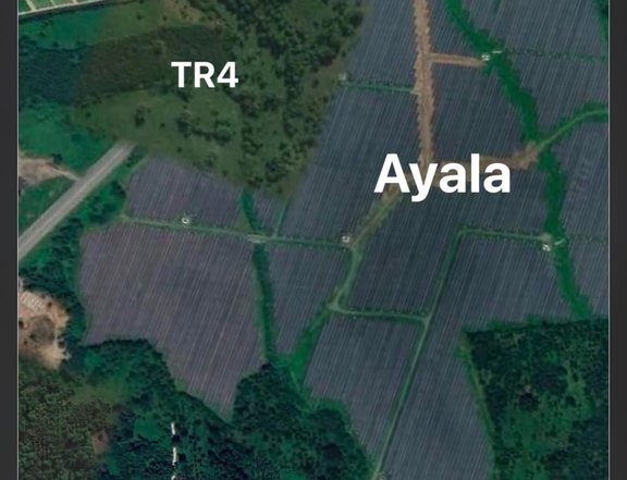 10 Hectares Lot For Sale in Alaminos Laguna